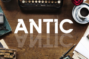 Antic: A Bold Typeface for Editorial Design