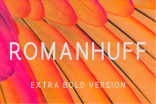 Romanhuff Extra Bold Font