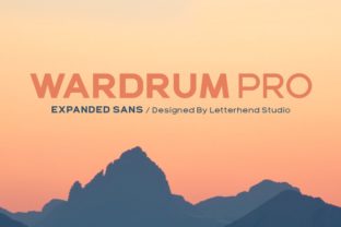 Wardrum Pro: A Bold Sans for Creative Makers