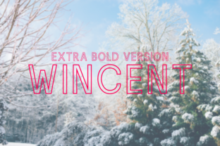 Wincent Outline Extra Bold: A Bold Choice for Digital Campaigns