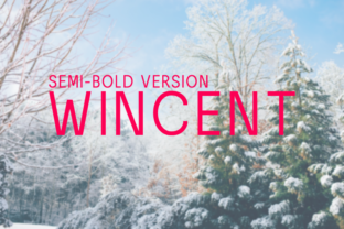 Wincent Semi-Bold: A Friendly Font for Creative Projects
